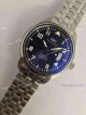 Replica Swiss IWC Mark Xvii Watch SS Blue Dial  (3)_th.jpg